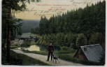 AK Großbreitenbach in Thüringen Mühle im Grundstal Mann mit Hund 1910