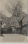 AK Fehmarn Bannesdorf Friedenspappel 1870/71 Feldpost 1916 RAR