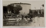 AK Foto Berlin Sommerblumen am Funkturm mit Flamingos 1934