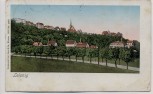 AK Leisnig in Sachsen Ortsansicht 1909