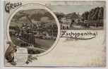 Litho Gruss aus Zschopenthal mit Gasthof zum Eichhörnchen bei Grünhainichen 1901 RAR