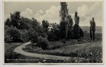 AK Foto Gaienhofen am Bodensee Haus Finckh 1948