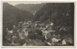 AK Foto Herrnskretschen Hřensko Böhmen Elbe Tschechien 1928