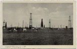 AK Nienhagen (Landkreis Celle) Ölfeld mit Kühen Niedersachsen 1935