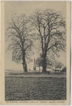 AK Hořiněves bei Hradec Králové Schlachtfeld bei Königgrätz 1866 Linden am Rejdisti Tschechien 1914