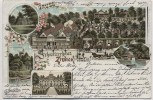 AK Litho Ziebigk bei Dessau Gruss vom Schweizerhaus 1897 RAR