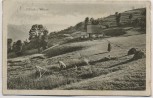 AK Metzeral Sillacker Wasen Heuernte Elsass Haut-Rhin Frankreich 1916