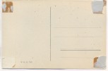 AK Bamberg Die Altenburg 1910