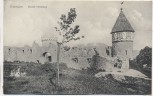 AK Tuttlingen Ruine Honberg 1910