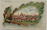 AK Litho Eichelblatt Sorau Żary Ortsansicht Neumark / Ostbrandenburg Polen 1904 RAR
