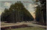 AK Gruss aus Dörverden Weg im Holze nach Diensthop mit Menschen 1915 RAR
