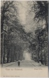 AK Gruss aus Glückstadt Haupt-Allee 1910