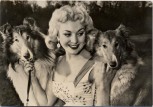 AK Foto Frau mit 2 Collies Peter Steffen Auslandsdienst 1956