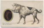 VERKAUFT !!!   AK Dieses Spieglein gibt dir kund Wer hier der grösste ... Schweinehund 1910