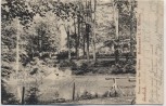 AK Einbeck Gruss von den Eichen Restaurant Wielert 1905 RAR