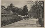 AK Meersburg am Bodensee Blick auf Schloß mit Kühen 1930