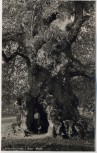 AK Foto Wolframlinde in Ried bei Kötzting 1930