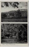 AK Aus dem Saupark Jagdschloss Wisente bei Springe 1940