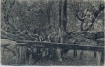 AK Pozdrav ze Bzence Bzenec Bisenz Alter Baum mit Frau Hodonín Tschechien 1921