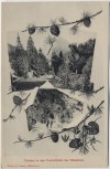 AK Obstalden Partien in den Fuchsfällen Glarus Schweiz 1910