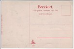 AK Rensdyr med Pulk Rentiere Schweden 1910
