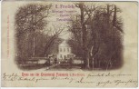 VERKAUFT !!!   AK Neustrelitz Gruss aus der Grossherzgl. Fasanerie 1899