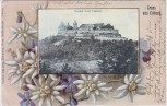 AK Passepartout Gruss aus Coburg Veste von Osten 1901