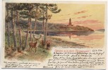 AK Litho Gruss aus dem Grunewald Kaiser Wilhelm-Turm mit Hirsch Berlin 1900