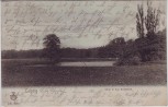 VERKAUFT !!!   AK Leipzig Blick in das Rosenthal Rosental 1902
