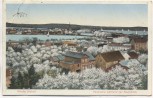 AK Werder Havel Panorama während der Baumblüte 1929