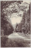 AK Gruss aus Schleswig Colonnen-Weg Kolonnenweg 1906