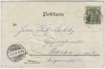 Präge-AK Fröhliche Pfingsten Maikäfer Familie Aussicht 1901