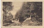 VERKAUFT !!!   AK Dankerode b. Harzgerode im Harz Marktal 1922