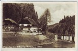 AK Foto Hals (Passau) Waldrestauration Triftsperre 1939