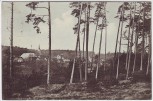 AK Gruß aus der Jerichower Schweiz Magdeburgerforth bei Möckern 1914