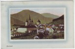 AK Mariazell Ortsansicht Steiermark Österreich 1911
