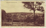 AK Luftkurort Schledehausen bei Bissendorf Ortsansicht 1929