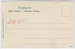 AK Heidelberg Pension und Gasthaus zur Hohenstaufenburg Molkenkur 1900