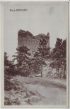 AK Burg Mödling Niederösterreich Österreich 1923