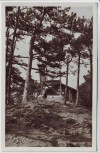 AK Foto Kammersteinerhütte bei Perchtoldsdorf Niederösterreich Österreich 1940