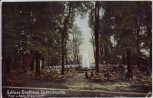 AK Niederwiesa Schloss-Gasthaus Lichtenwalde 1908