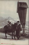 VERKAUFT !!!   AK Berg-Post in Südtirol Mann mit Pferd Trentino Italien 1910