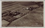 AK Foto Åkarp Birger Lindbergs Plantskola Burlöv Schweden 1956 RAR