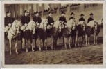 AK Foto Wien Spanische Reitschule Lipizzaner mit Reiter 1940