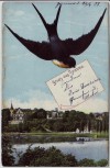 AK Gruss aus Grimma Ortsansicht mit Schwalbe 1908