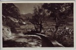 AK Foto Zirl in Tirol Ortsansicht von Zirlerbergstraße Österreich 1940