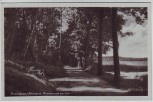 AK Foto Arendsee (Altmark) Promenade am See 1930