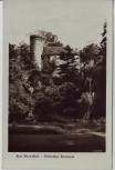 AK Foto Chemnitz Burgruine Rabenstein 1955