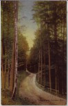 AK Sorau Żary Todestalweg Sorauer Wald Neumark / Ostbrandenburg Polen 1914 RAR