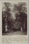 AK Neuenburg (Friesland) Neuenburger Urwald Am Amalienplatz Zetel 1902